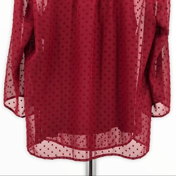 Style & Co. Garnet Swiss Dot Velvet Blouse & Cami - Picture 7 of 13